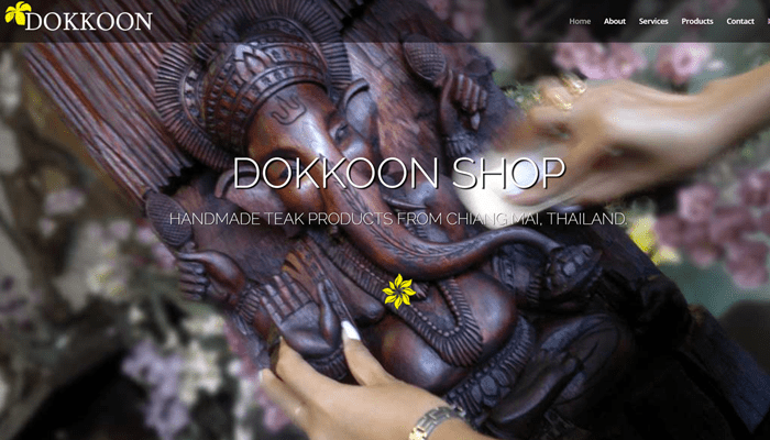 divi theme examples dokkoon shop