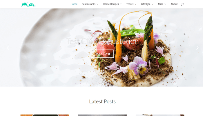 divi theme examples msihua