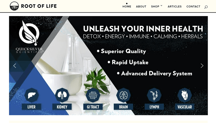 divi theme examples root of life
